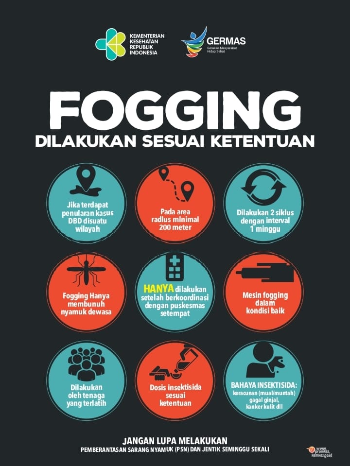 infografis